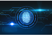 Farlight Electronics
