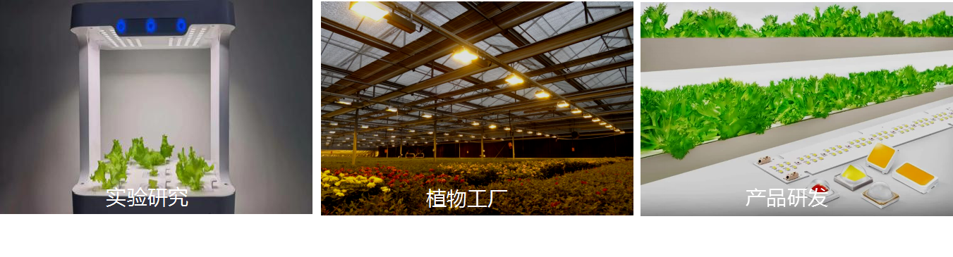 Farlight Electronics